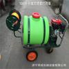 Parámetros de la imagen del pulverizador de pesticidas de tipo carro móvil para tierras de cultivo, pulverizador de gasolina para árboles frutales y pomelo.
