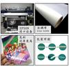 Póster de Anatomía Humana de la Fábrica de Dongguan Inglés Músculo Póster Médico Vaso Sanguíneo Cabeza Imagen Colgante de Divulgación Científica Popular