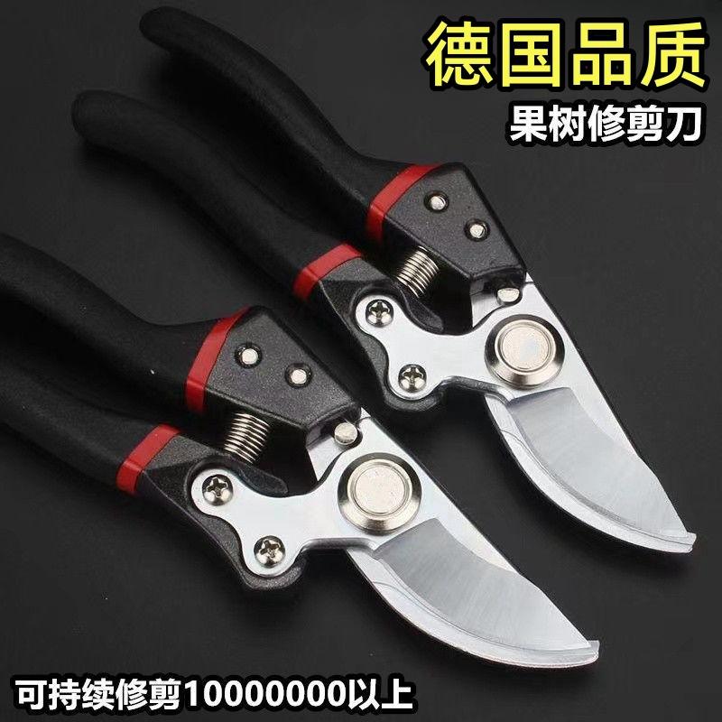 O1CN017kvLy52MxVcfayv9f_!!2217