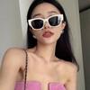 Gafas de Sol del Mismo Estilo de Celebridad de Internet Douyin Xiaohongshu Gafas de Sol Anti-UV para Mujer Gafas de Sol para Hombre Puestos Callejeros Envío Gratis