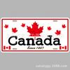 Artesanías de Metal Retro Europeas y Americanas Pinturas de Hierro Placa de Licencia Bar Cafetería Hogar Colgantes de Pared Decorativos Personalizados