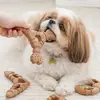 Juguetes de Mascar para Perros de Madera y Plástico, Huesos Duraderos para la Dentición de Cachorros y Perros Adultos, Palos Naturales No Tóxicos para Masticadores Agresivos, Juguetes Interactivos para Mascotas para la Limpieza Dental y el Alivio del Aburrimiento