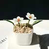 Enfeites de Vidro Zibo, Plantas Suculentas em Vasos, Plantas Verdes de Vidro, Presentes de Flores de Dezembro, Artesanato para Decoração de Escritório