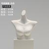 Utilería Modelo de Ropa Interior Femenino Masculino Medio Cuerpo Blanco Mudo Sostén Ropa Interior Plástico Falso Cuerpo Humano Exhibición de Ventana Estante de Exhibición Modelo
