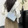 Bolsas de nicho transfronterizas para mujer 2026 verano moda de tendencia versátil bolsa cuadrada pequeña bolsa cruzada bolsa de hombro"""