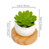 Plantas suculentas artificiais, pequenas plantas verdes artificiais, flores artificiais transfronteiriças, decoração de casa, enfeites de mesa, plantas de plástico, flores artificiais