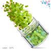 Kit de Unhas Verdes Transfronteiriço 12 Cores Misturadas Lantejoulas para Nail Art Laser Pó Escarlate Joias para Nail Art Broca Adesivo para Unha