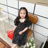 Vestido Infantil Feminino Floral com Gola Peter Pan Manga Curta Vestido Princesa 26 Verão Novo Estilo Comércio Exterior Atacado de Roupas Infantis