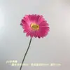 Gerbera Simulada de Ramo Único Exportação Transfronteiriça Decoração Floral de Casamento Sala de Estar em Casa Adereços Florais Enfeites Flores Artificiais