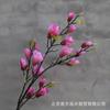 Flor Simulada Flor de Magnolia de Múltiples Cabezas Flor de Seda Floral para Mesa de Comedor de Sala de Estar Decoración de Sala de Estar Jarrón Ramo Simulado Venta al por Mayor