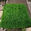 Tapa de alcantarilla bola cubierta, hemisferio de plástico césped, planta verde de plástico paisajismo, bola de césped residencial, bola embellecedora para tapa de alcantarilla, forma cuadrada