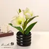 Duas Flores e Uma Fruta Sentir Magnólia Bonsai Flores Artificiais para Bonsai Ornamentos de Plantas Verdes Casa Interior Sala de Estar Flores de Bonsai Pequenas