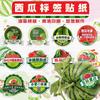 Sticker etiqueta personalizada transparente PVC sello de té logo fruta sandía personalizado
