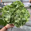 Fabricante de Flores Artificiales para Bodas Verdes Hortensia Verde Rosa Rocío de Golondrina Loto Bola de Cebolla Decoración Suave para Bodas Flor Artificial al por Mayor