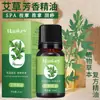 Óleo essencial de planta de rosa de artemísia Hanji 10ml salão de beleza raspagem corporal massagem óleo essencial composto atacado de fábrica