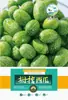 Semillas de Sandía Qilin, Sandía Perezosa de Azúcar de Hielo Extra Grande, Rey Dulce Gigante, Semillas de Verduras y Frutas Pequeñas del Sur de Cuatro Estaciones