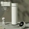 Taza termo inteligente con separación de té, acero inoxidable 316, taza de té para niños, taza de regalo de alto valor cromático, personalización