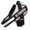 Correa para Perro Chaleco para Pasear Perros Collar Perro Grande Golden Retriever Labrador Perro Teddy Correa de Cadena para Perro