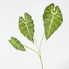 Plantas Verdes Simuladas 3 Pavo Real Negro Otoño Lirio de Calas Arreglo Floral con Planta de Hoja Muro de Plantas Verdes Plantas para el Hogar Plantas Hoja de Tortuga