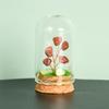 Cristal natural original con cubierta de vidrio, micropaisaje, árbol de cristal, regalo científico popular para niños, adornos de decoración para el hogar.