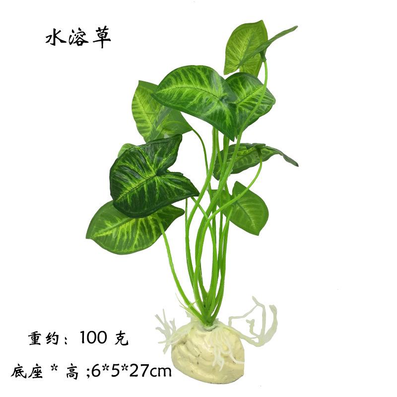 水溶草