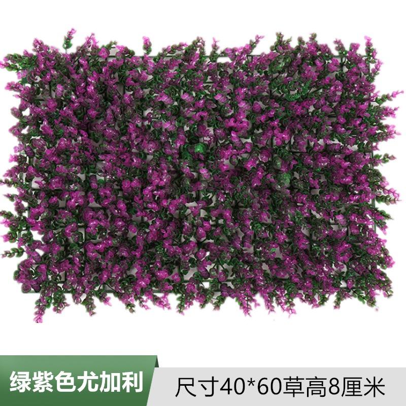 绿紫色尤加利.jpg