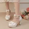 Nuevas Sandalias de Plataforma de Suela Gruesa con Tacón Alto Grueso con Lazo de Encaje Bordado Estilo Hada con Punta Cubierta 33-48 Zapatos de Exportación