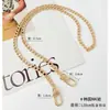 Bolso con Correa para el Hombro, Accesorios de Cadena para Bolso, Cadena Metálica Cruzada de Repuesto para Compra Individual, Cadena de Extensión para el Brazo