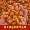 Secado al Sol Naturalmente Nuevo Producto 2026 Gaoshou Paquetes de 0.5 kg de Pulpa de Longan al por Mayor Sin Semilla 500g a Granel Remojada en Agua Pulpa de Longan