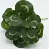 Plantas Simuladas, Flores Artificiais de Plástico, Acessórios para Parede de Plantas, Folhas com Toque Sem Cola, Folhas de Tartaruga, Rabanete Verde, Venda Direta em Estoque