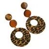 Brincos Europeus e Americanos Transfronteiriços Estampa de Leopardo Floral Retro Moda Merade Nicho Personalidade Única Joia Geométrica para Orelha para Mulheres
