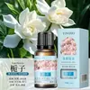 Óleo Essencial de Aromaterapia Solúvel em Óleo 10ml Fragrância de Longa Duração Máquina de Aromaterapia Difusor de Óleo Essencial Difusor de Pedra Madeira Vela de Óleo Essencial DIY