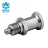 Fabricantes de pinos de indexação de Dongguan todos os pinos de indexação de aço inoxidável 304 M8-M20 carga leve carga pesada pino de indexação ZAY05-08