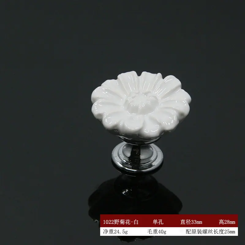 1022野菊花-白