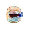 Taza de Café de Doble Capa con Asa de Mariposa de Alto Borosilicato para Uso en Casa con Asa, Taza de Vidrio para Exteriores, Alto Valor Estético, Nuevo Modelo Transfronterizo Taza Especial