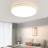 Concha de abajur magnética universal placa translúcida acrílico luz de teto LED separado escudo de luz redondo quarto antigo