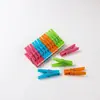 Pinza para ropa doméstica simple multifuncional color plástico a prueba de viento pinza para secar pinza para ropa secado calcetines ropa interior pinza pequeña
