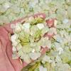 Concha Grande Natural de Nácar Disco Blanco Concha Brillo Lentejuelas para Uñas Decoraciones para Uñas DIY Hechas a Mano Materiales para Uñas