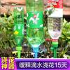 Artefacto de riego por goteo, dispositivo de riego automático para plantas verdes domésticas, escurridor para viajes de negocios