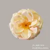 Flores Artificiales Champagne, Rosas y Hortensias Realistas de Alta Gama, Venta al por Mayor para Decoración de Bodas, Materiales DIY para Arte Floral