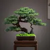 Novo Bonsai Artificial Estilo Chinês Inspirado em Zen Pinheiro Acolhedor e Pinheiro Arhat para Decoração de Escritório, Sala de Estar e Hall de Entrada