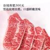Fábrica Australiana 558 Valle de Tendones de Res Angus M3M5 Alimentación Carne de Ostra Corte Original Filete Tres Tendones Res Moteada Barbacoa