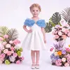 Nuevo Vestido Formal de Verano para Niñas con Bordado de Rosas, Vestido Infantil, Suministro Transfronterizo Exclusivo, Directo del Fabricante, Vestido de Fiesta