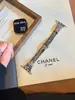 Nueva Correa de Metal Curva Delgada para Reloj con Diamantes Adecuada para Apple Watch iWatch 12ª Generación 11/10