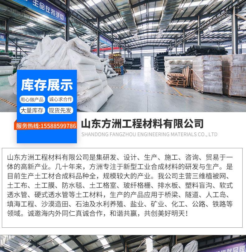 7双向拉伸塑料土工格栅_14.jpg