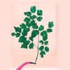 Tang Songye Baffed Flower Flor Seca Planta Em Relevo Amostra de Ensino DIY Marcador Feito à Mão Gota de Cola Flor Seca Capa de Celular