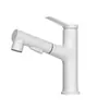 Grifo extraíble para lavabo seleccionado cuidadosamente Lavabo Agua Caliente y Fría Baño Inodoro Lavabo Grifo Blanco