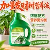 Árbol del Dinero Solución Nutritiva Fertilizante Fertilizante Especial Plantas Verdes de Interior Plantas en Maceta Hojas Amarillas Hojas Marchitas Hojas Caídas Prevención de Pudrición de Raíces Fertilizante para Flores de Hogar