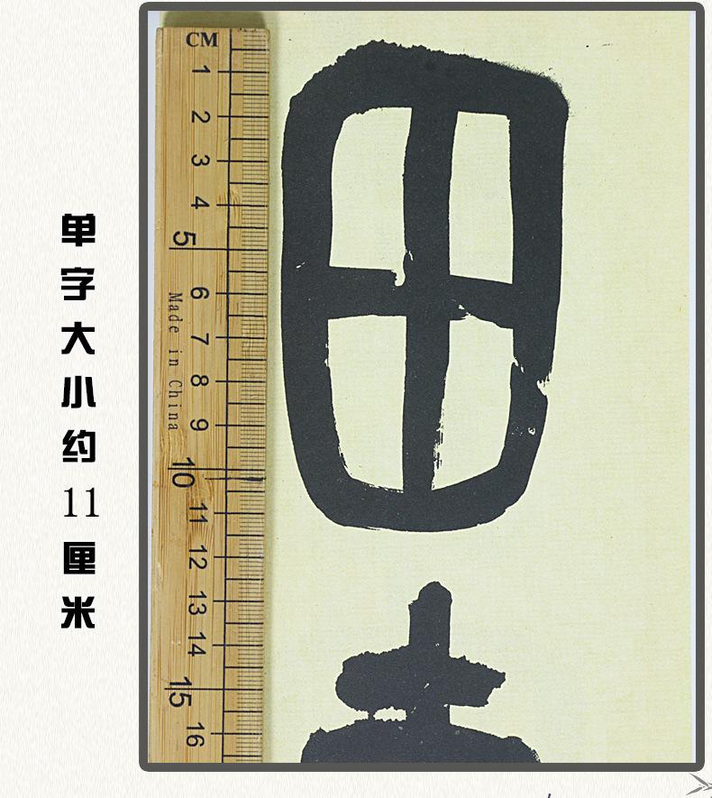 E4553_04.jpg