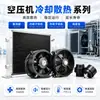 Accesorios para Compresores de Aire Sorante: Elementos Filtrantes, Anillos de Sellado, Correas, Válvulas Solenoides, Separadores de Aceite y Gas, Consumibles Generales